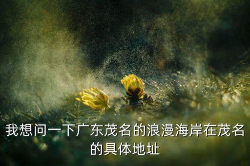 我想问一下广东茂名的浪漫海岸在茂名的具体地址