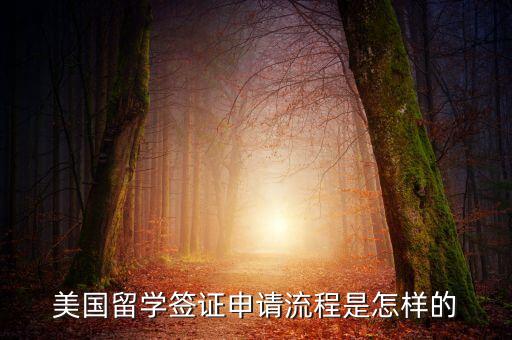 美国留学签证申请流程是怎样的