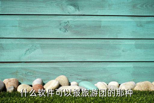 什么软件可以报旅游团的那种