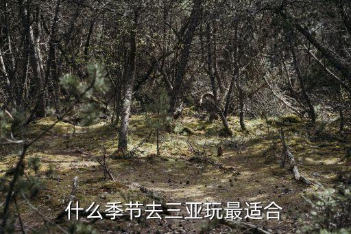 什么季节去三亚玩最适合