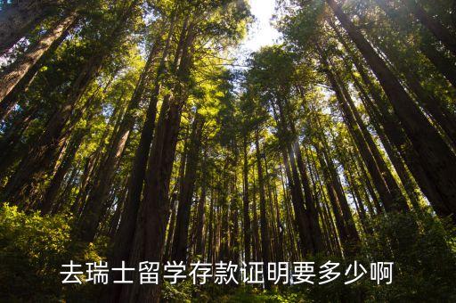 去瑞士留学存款证明要多少啊