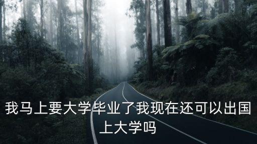 我马上要大学毕业了我现在还可以出国上大学吗