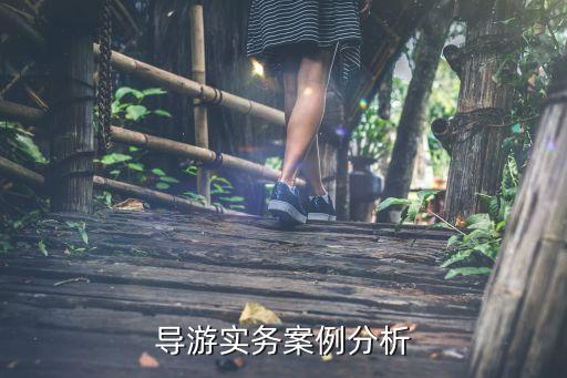 导游实务案例分析