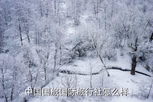 中国国旅国际旅行社怎么样