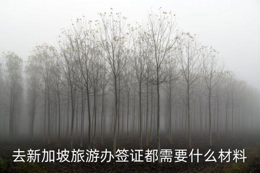 去新加坡旅游办签证都需要什么材料