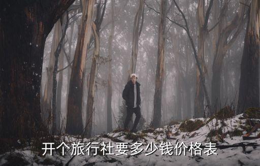 开个旅行社要多少钱价格表