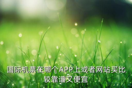 国际机票在哪个APP上或者网站买比较靠谱又便宜