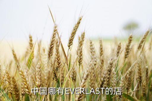中国哪有EVERLAST的店