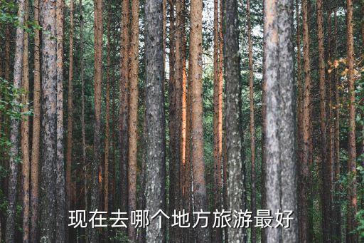 现在去哪个地方旅游好一点，现在去哪个地方旅游最好