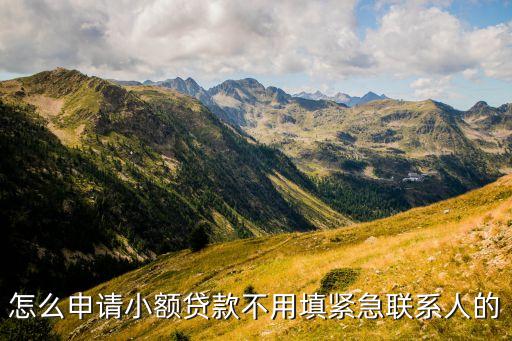 怎么申请小额贷款不用填紧急联系人的