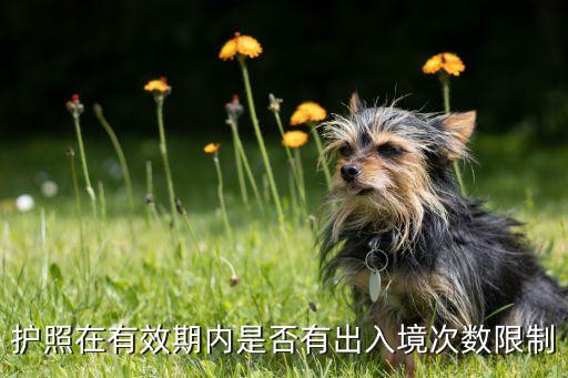 护照一年可以出国几次，护照有没有规定一年只能出境几次
