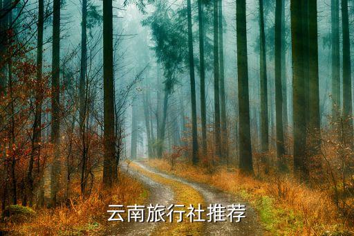 云南旅游公司哪家最好，云南旅游质量最好的旅行社是哪个呢