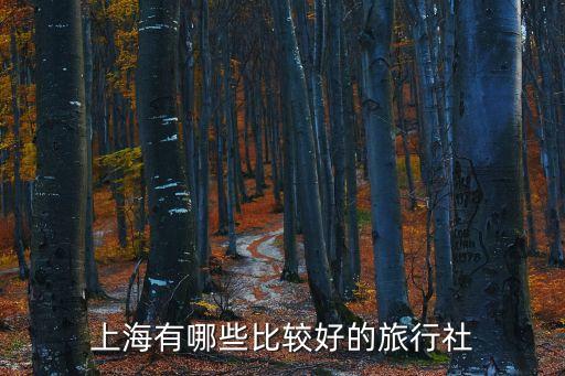 上海有哪些比较好的旅行社