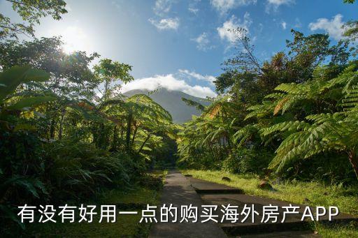 海外房产哪个app好，有没有好用一点的购买海外房产APP