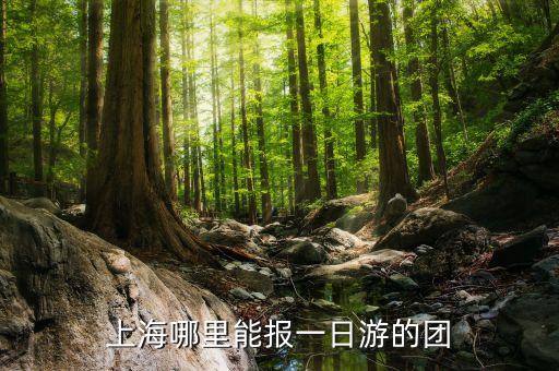 上海哪里能报一日游的团