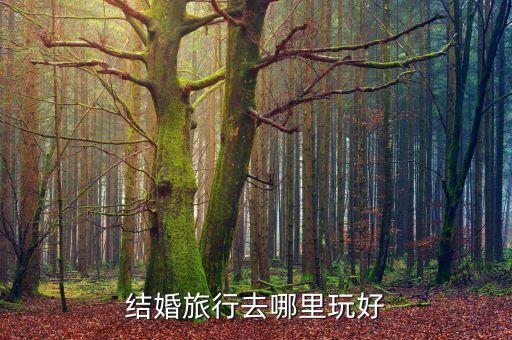 结婚旅行去哪里玩好