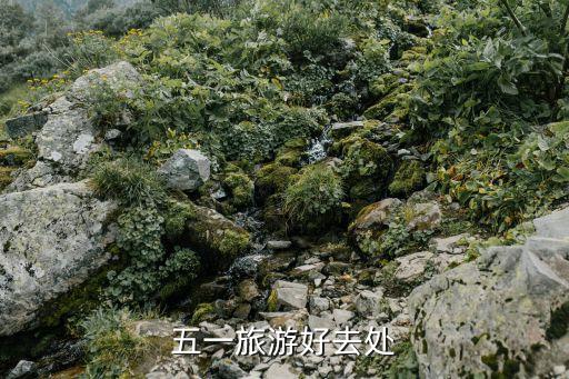 五一旅游十大景点，推荐几个五一的旅游景点谢谢
