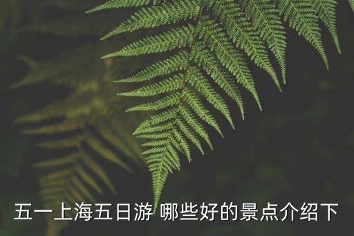 五一上海五日游 哪些好的景点介绍下