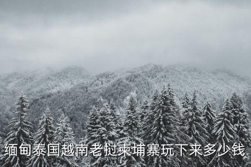 昆明旅行社纯玩团报价老挝，云南哪家旅行社有办团去老挝的