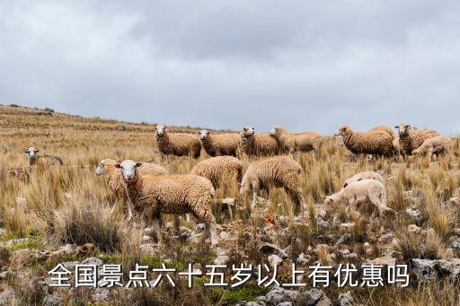 全国景点六十五岁以上有优惠吗