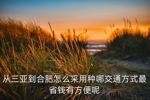 从三亚到合肥怎么采用种哪交通方式最省钱有方便呢