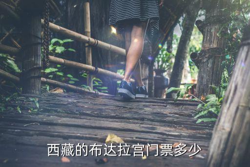 西藏的布达拉宫门票多少