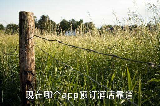 现在哪个app预订酒店靠谱
