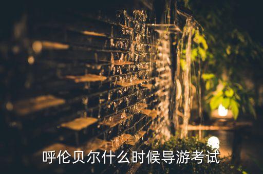 呼伦贝尔什么时候导游考试