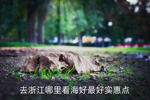 去浙江哪里看海好最好实惠点