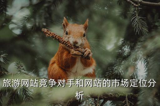 旅游网站竞争对手和网站的市场定位分析