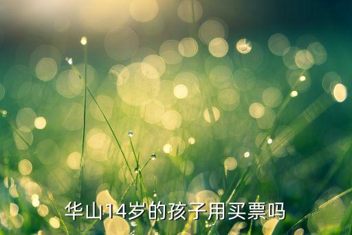 华山儿童票，华山14岁的孩子用买票吗