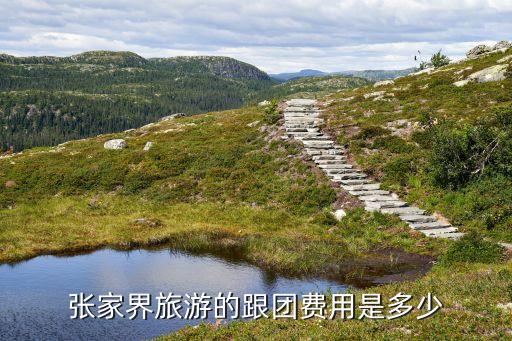运城到张家界旅游团价，去张家界3日游需要多少钱最新报价旅游攻略报