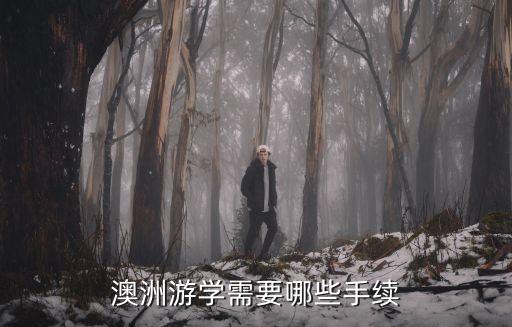 澳洲游学，澳大利亚游学两周注意事项及需要准备的东西