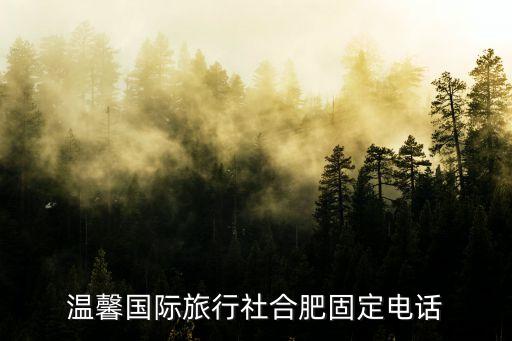 温馨国际旅行社合肥固定电话