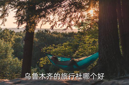 乌鲁木齐旅行社哪家好点，乌鲁木齐市哪个旅行社比较好