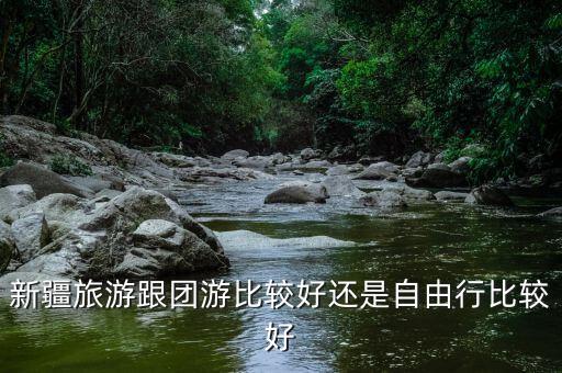 新疆跟团还是自由行，去新疆旅游跟团还是自由行好