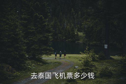 去泰国飞机票多少钱