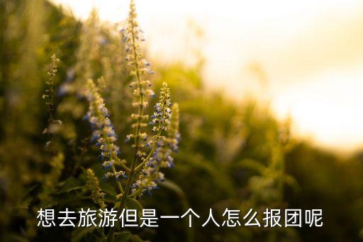 如何报团旅游，怎么报团旅游