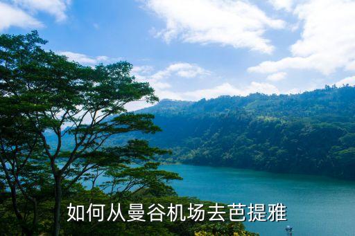 如何从曼谷机场去芭提雅