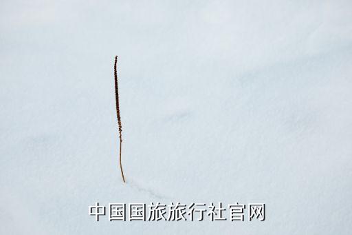中国国旅旅行社官网