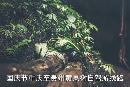 国庆节重庆至贵州黄果树自驾游线路