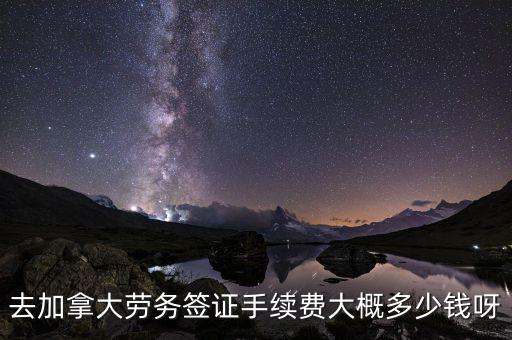 去加拿大劳务签证手续费大概多少钱呀
