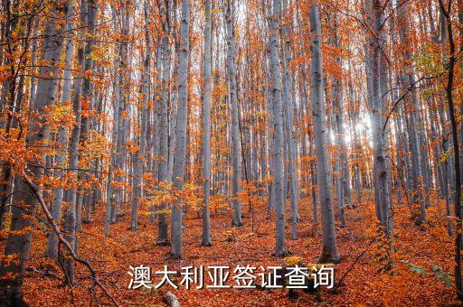 澳大利亚签证查询