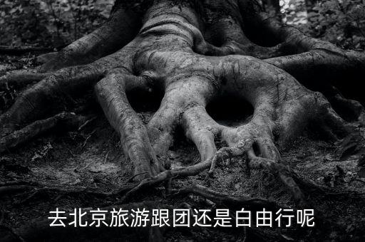 去北京旅游跟团还是白由行呢
