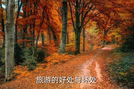 旅游的好处和坏处，旅游好处和坏处