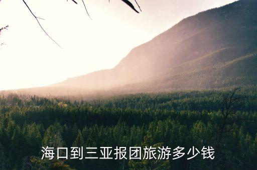 海口旅游团报名两日游，海南两日游