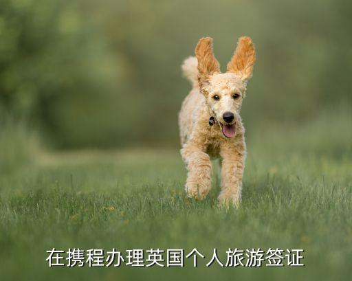 在携程办理英国个人旅游签证