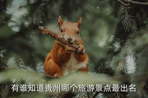 有谁知道贵州哪个旅游景点最出名