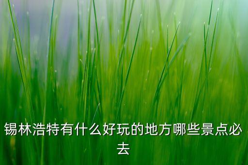 锡林浩特旅游区，锡林浩特市有什么好玩的