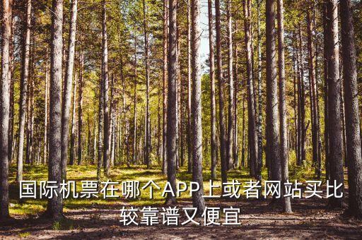 国际机票在哪个APP上或者网站买比较靠谱又便宜